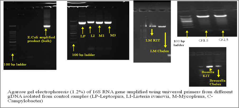 Technology Image
