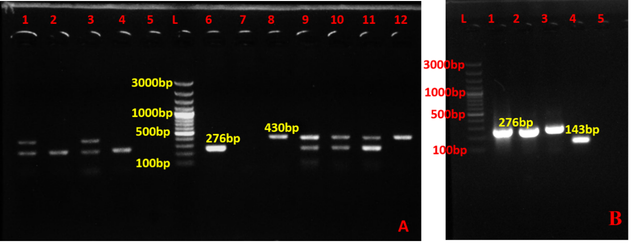 Technology Image