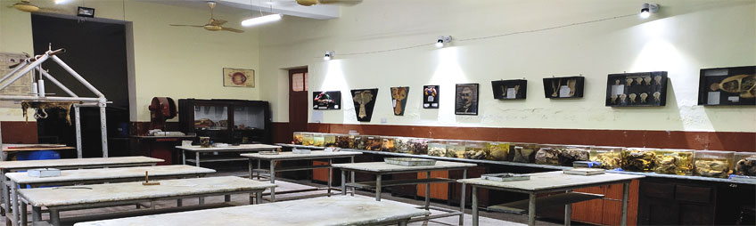 Gallery Slider Image