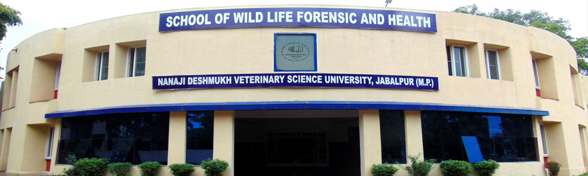 School of Wild Life Forensic and Health