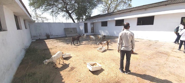 Mhow-Goat-Unit.jpg