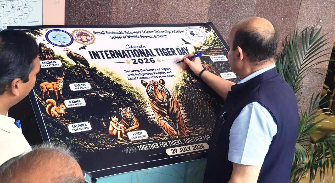 International_Tigar_Day_2026_SWFH