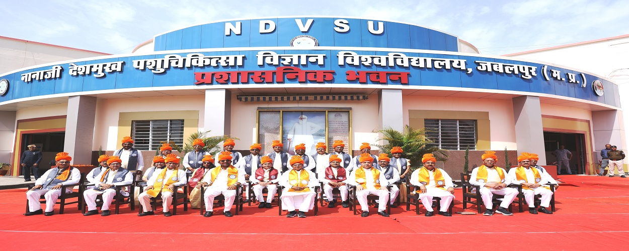 7th Convocation 2025 Group photo