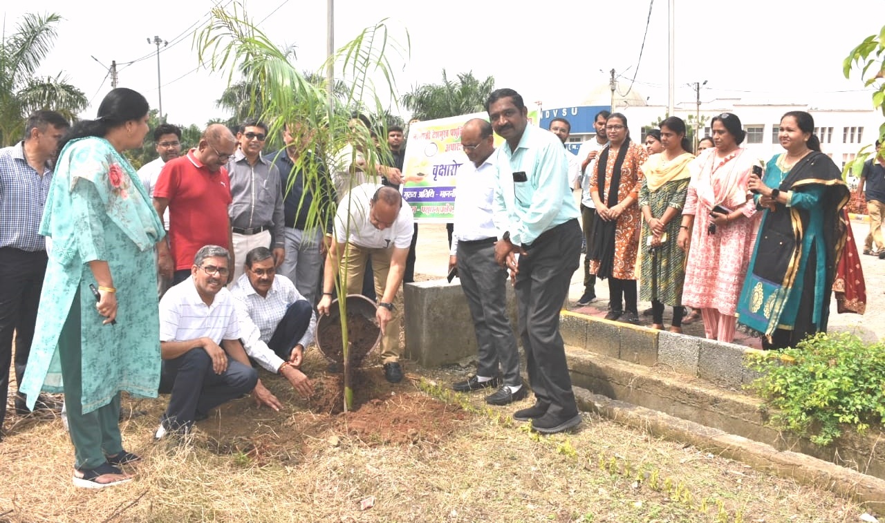 Plantation programme ndvsu